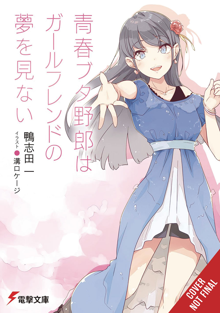 Rascal Does Not Dream Of Light Novel SC