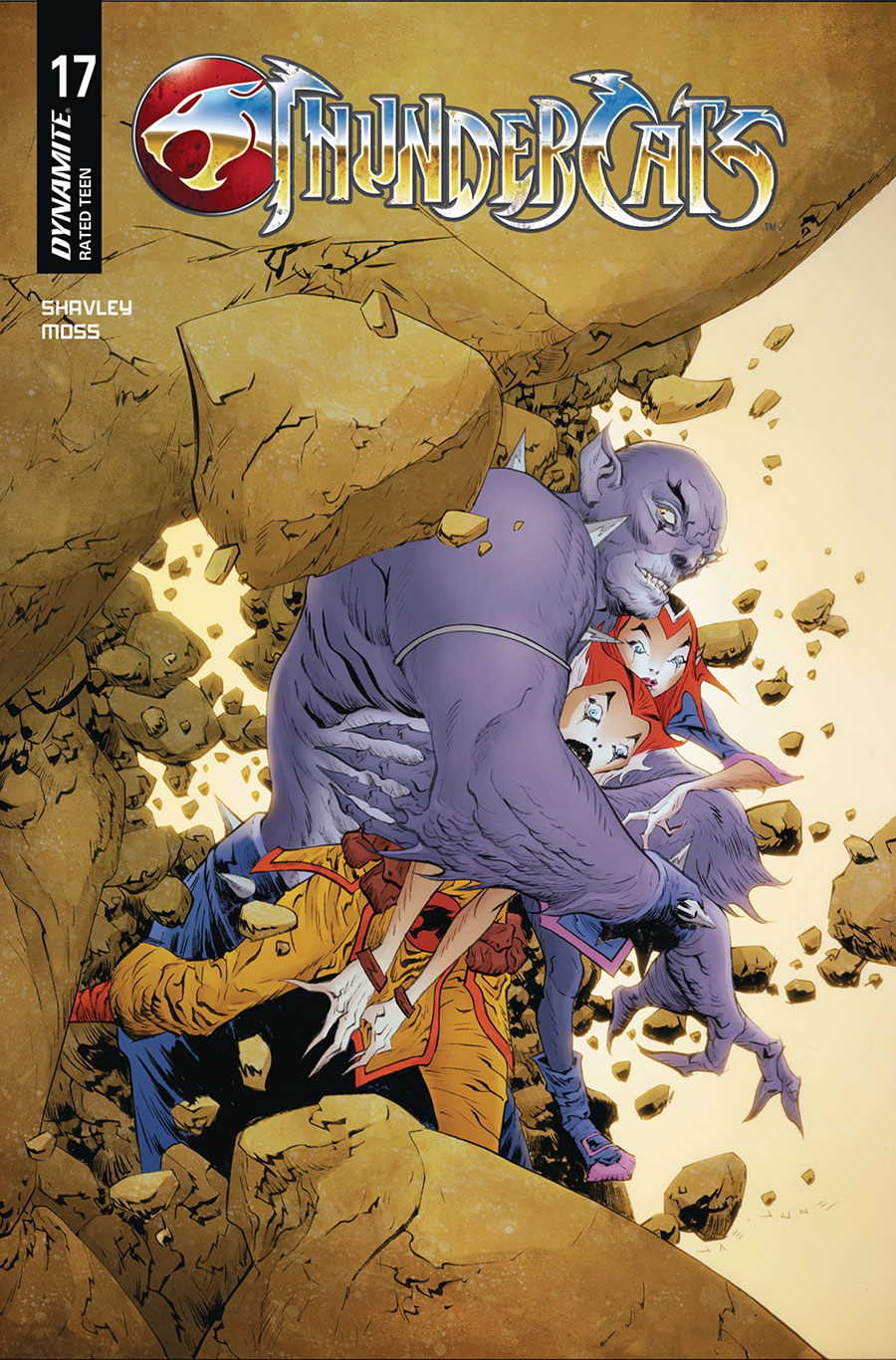 Thundercats Vol 3 #17 Cover C Variant Jae Lee & June Chung Cover