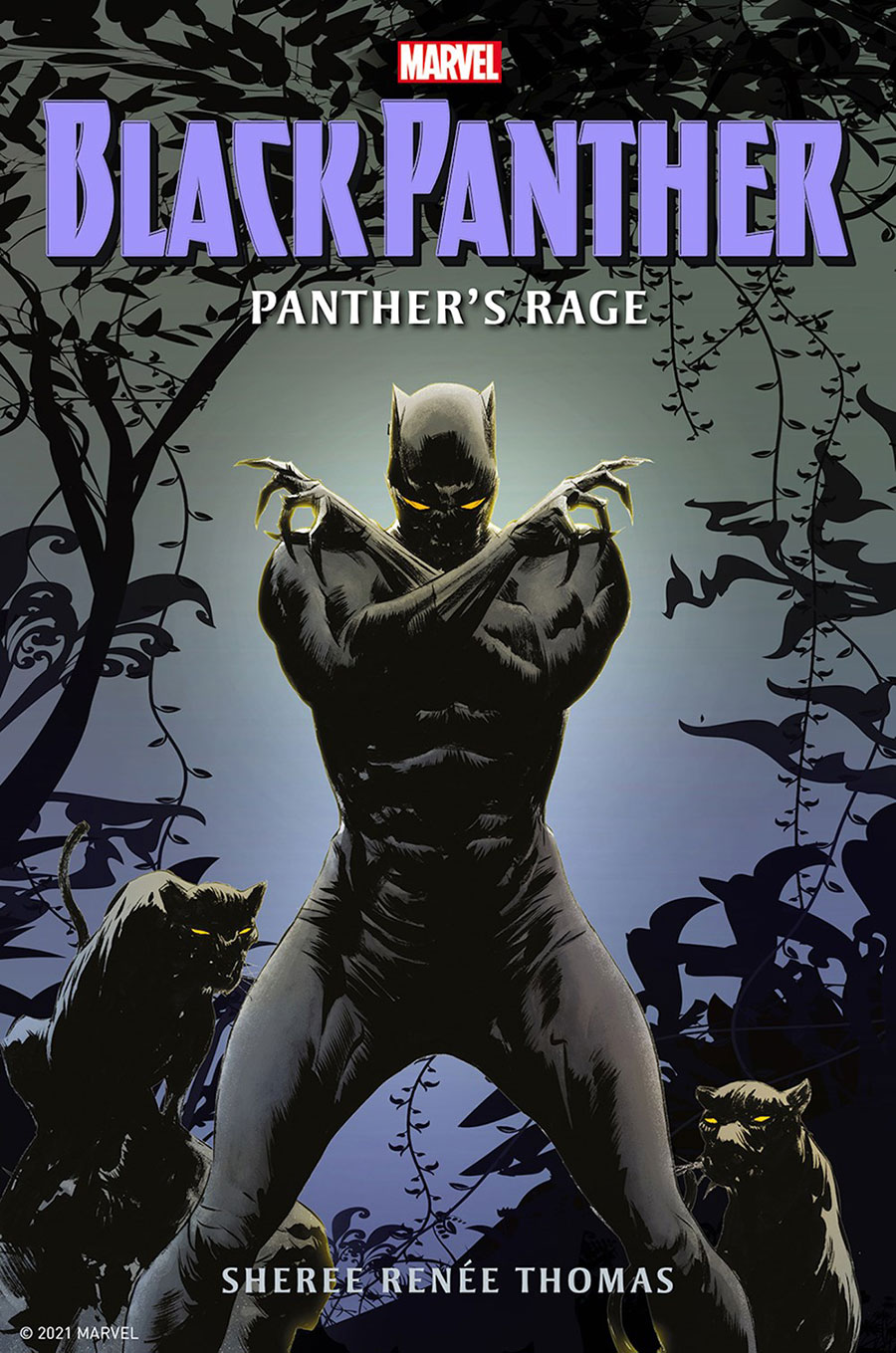 Black Panther Panthers Rage Novel TP