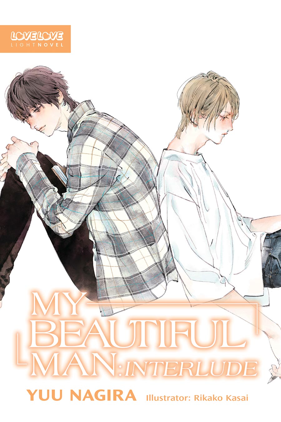 My Beautiful Man Interlude Light Novel