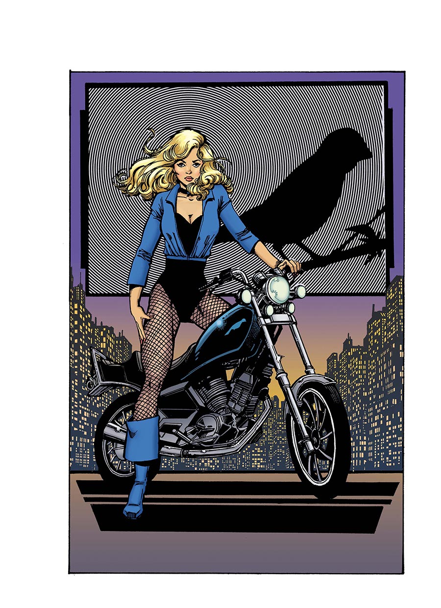Birds Of Prey Vol 5 #22 Cover D Variant George Perez Legacy Card Stock Cover (DC All In)