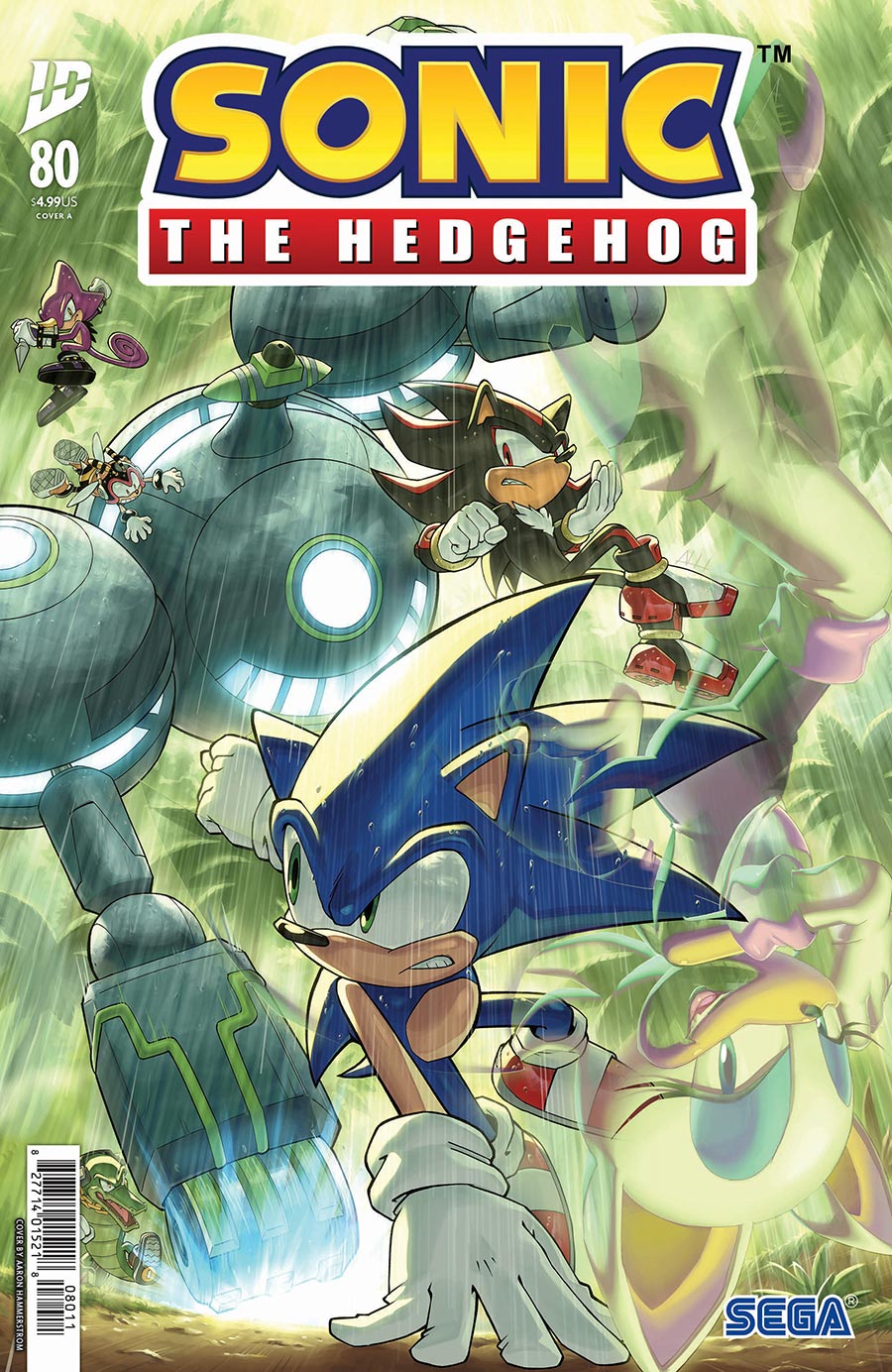 Sonic The Hedgehog Vol 3 #80 Cover A Regular Aaron Hammerstrom Cover