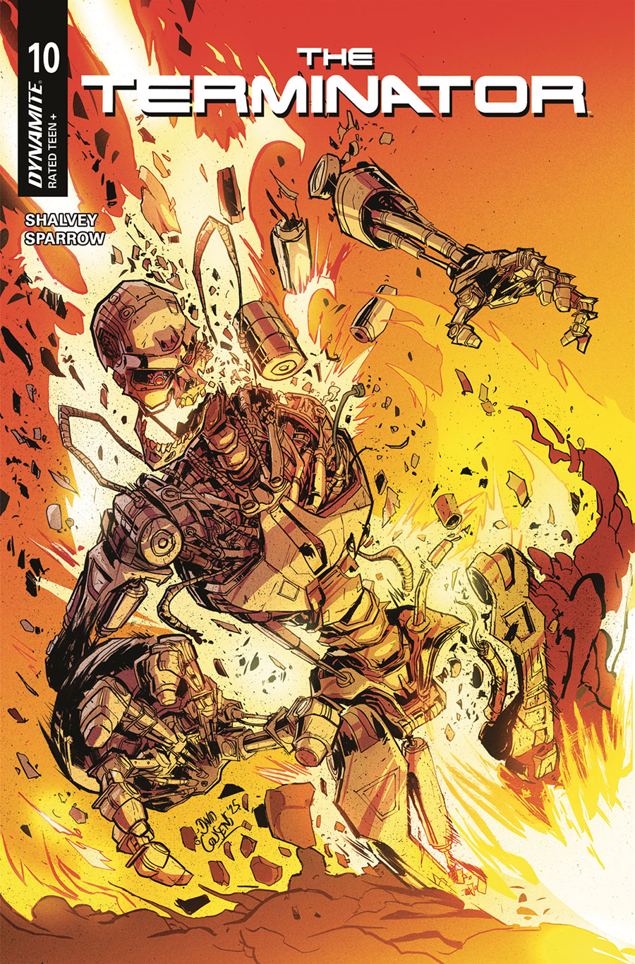 Terminator Vol 4 #10 Cover D Variant David Cousens Cover