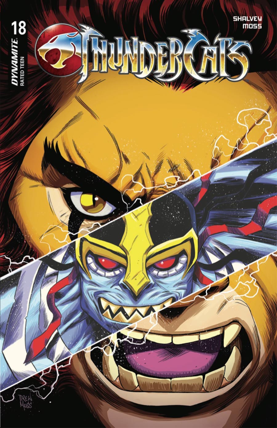 Thundercats Vol 3 #18 Cover D Variant Drew Moss Cover