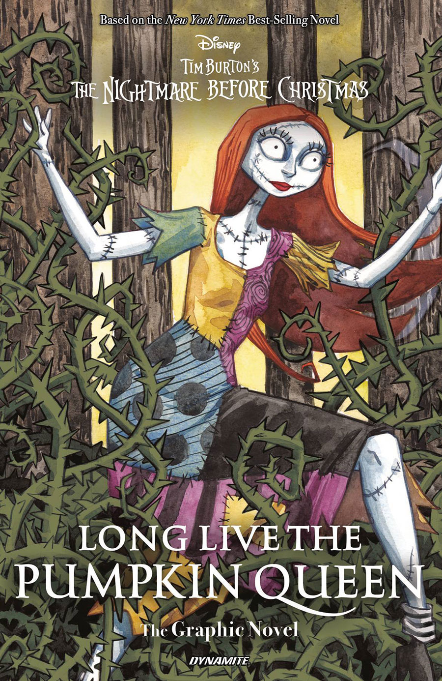 Disney Tim Burtons The Nightmare Before Christmas Long Live The Pumpkin Queen Graphic Novel HC