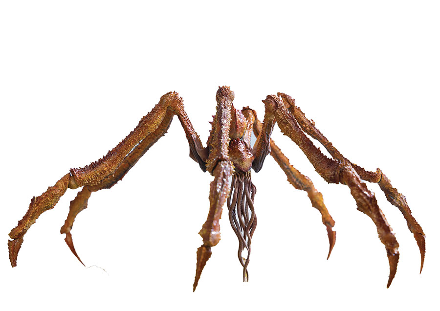 Godzilla x Kong The New Empire Scylla Previews Exclusive Exquisite Basic 7-Inch Action Figure