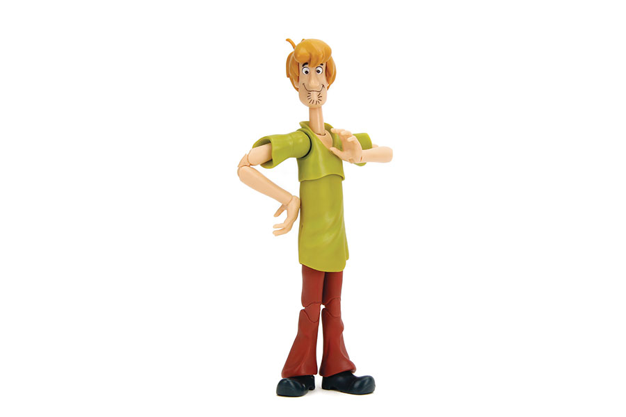 Scooby-Doo Wave 1 Shaggy 6-Inch Action Figure