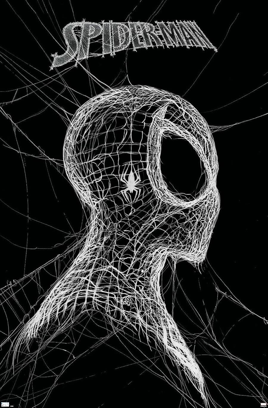 Marvel Spider-Man World Of Webs Black And White Poster