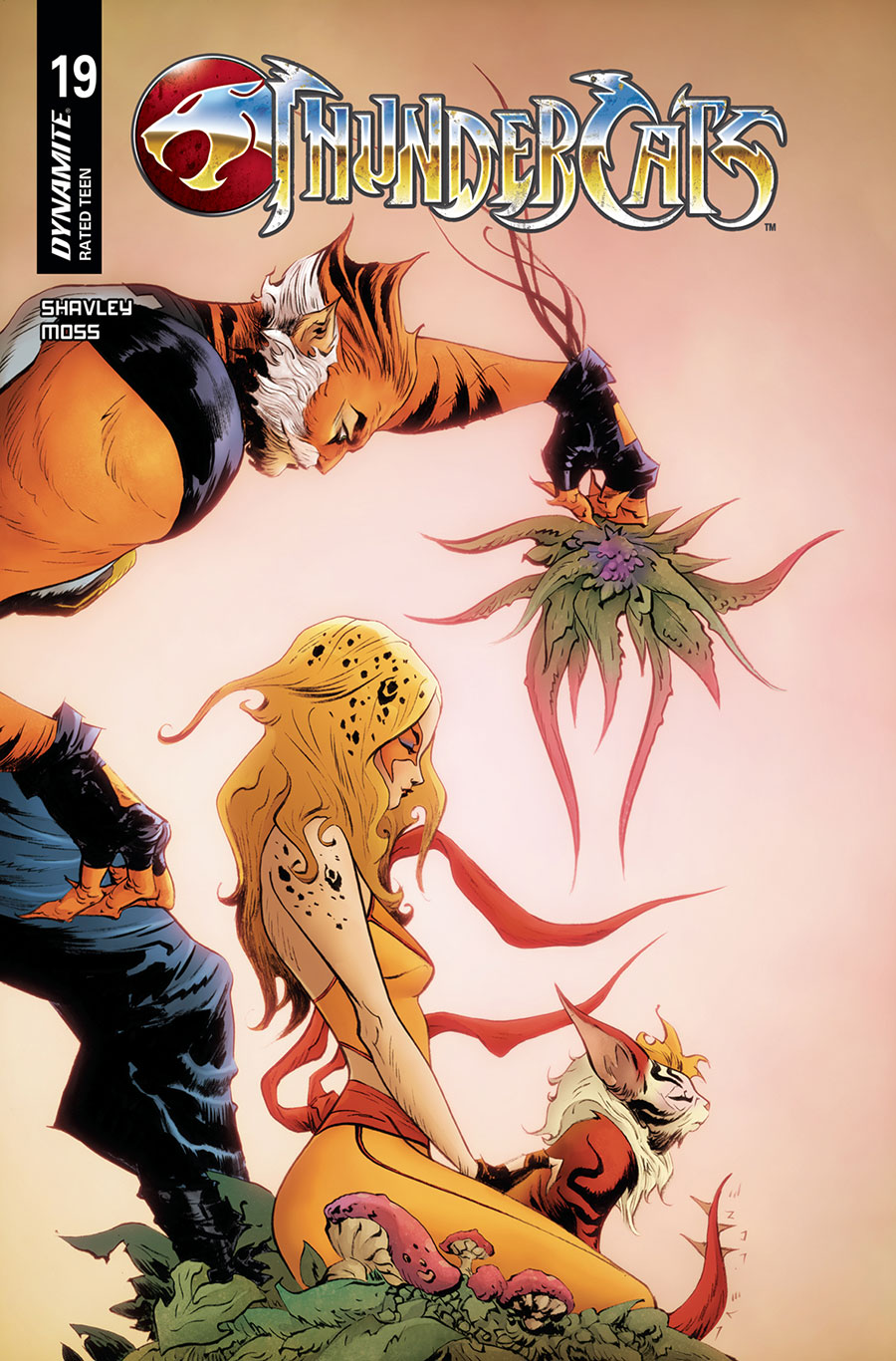 Thundercats Vol 3 #19 Cover C Variant Jae Lee & June Chung Cover