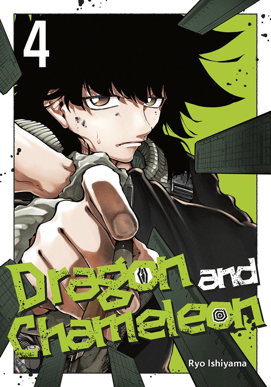 Dragon And Chameleon Vol 4 GN