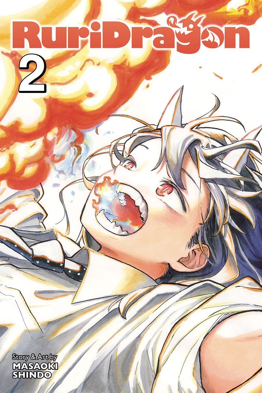 RuriDragon Vol 2 GN
