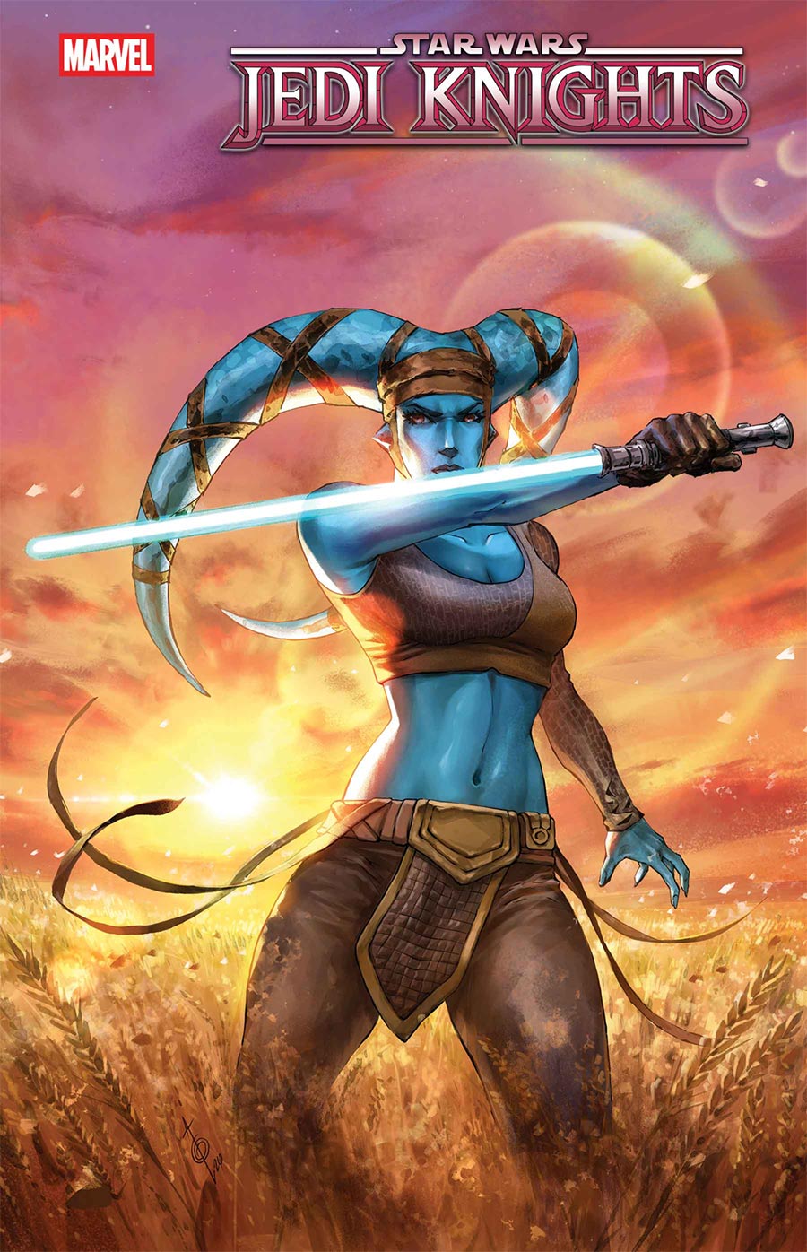 Star Wars Jedi Knights #6 Cover E Incentive Alan Quah Variant Cover