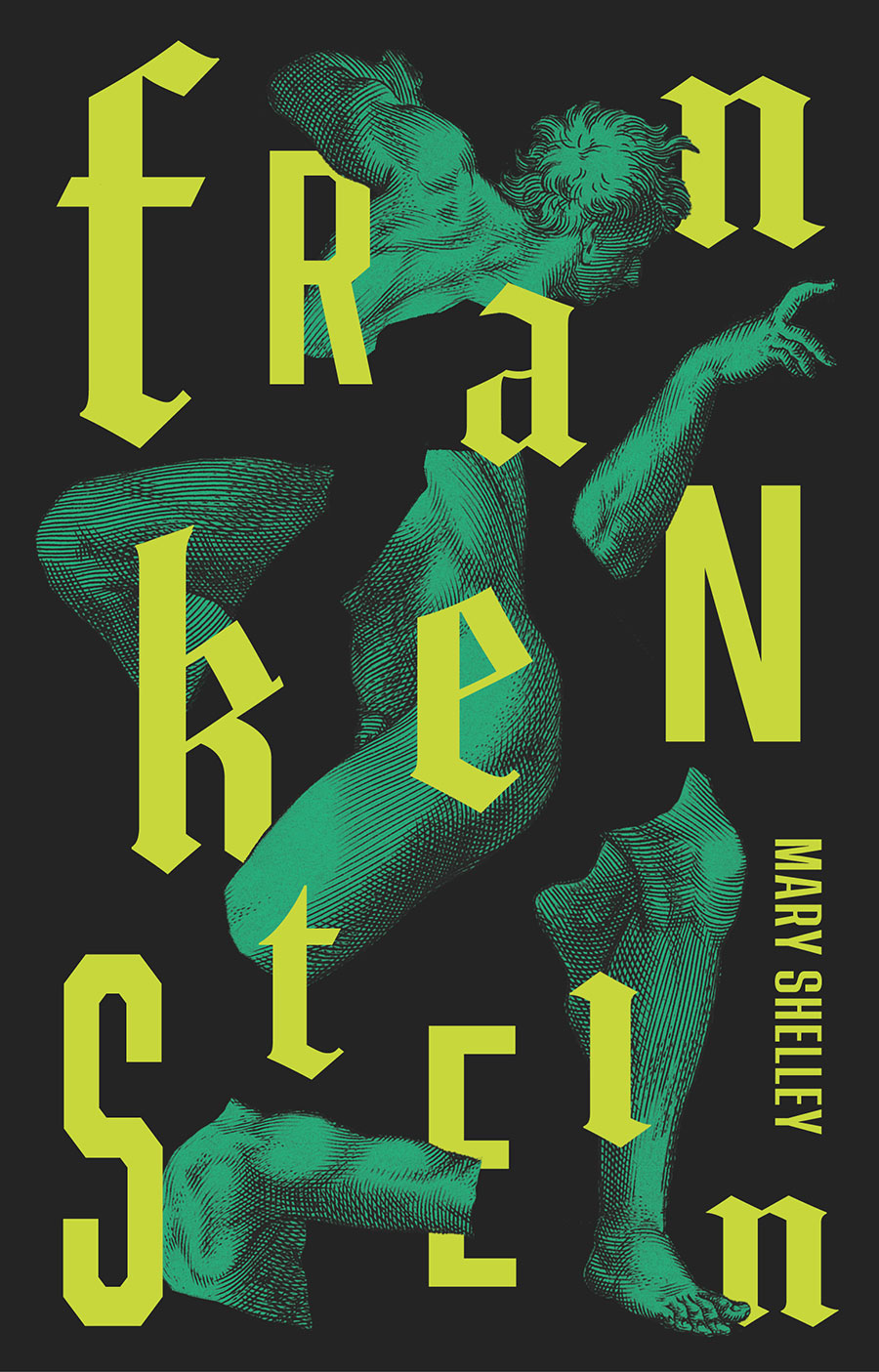 Vintage Classics Frankenstein Or The Modern Prometheus Novel TP