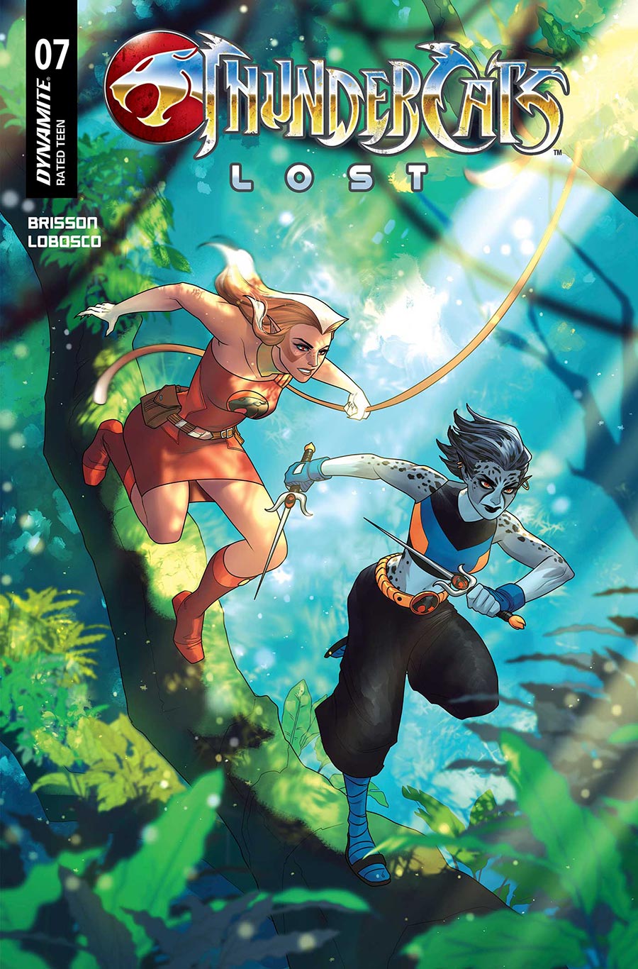 Thundercats Lost #7 Cover C Variant Meghan Hetrick Cover