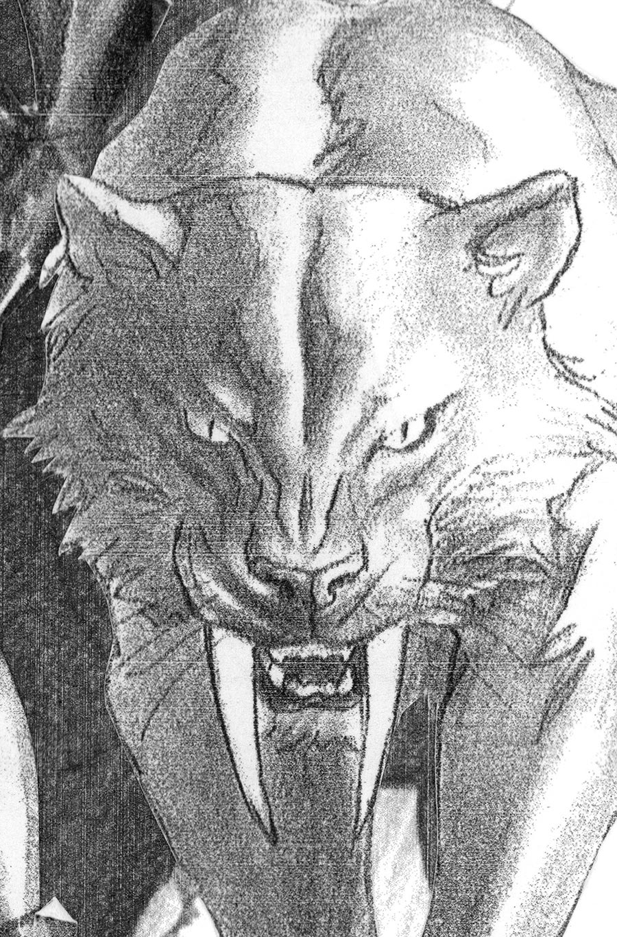 Black Cat Vol 3 #2 Cover F Incentive Alex Ross Timeless Virgin Sketch Cover