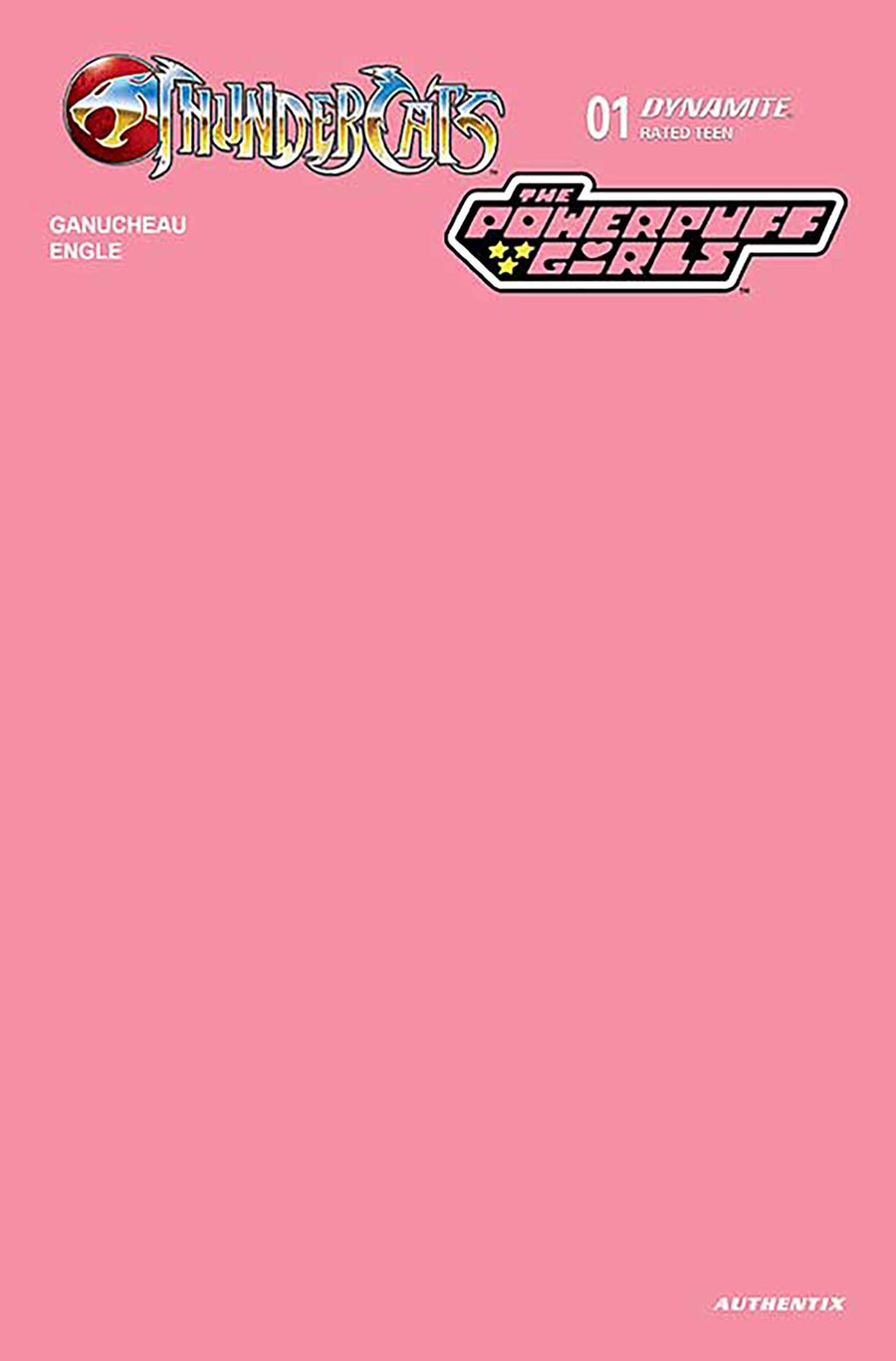 Thundercats Powerpuff Girls #1 Cover N Variant Pink Blank Authentix Cover