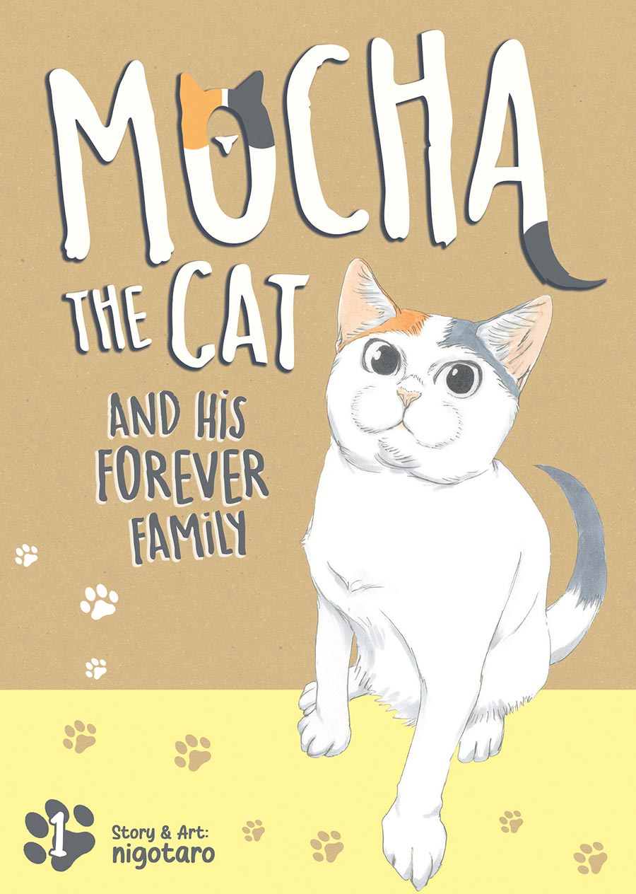 Mocha The Cat And His Forever Family Vol 1 GN