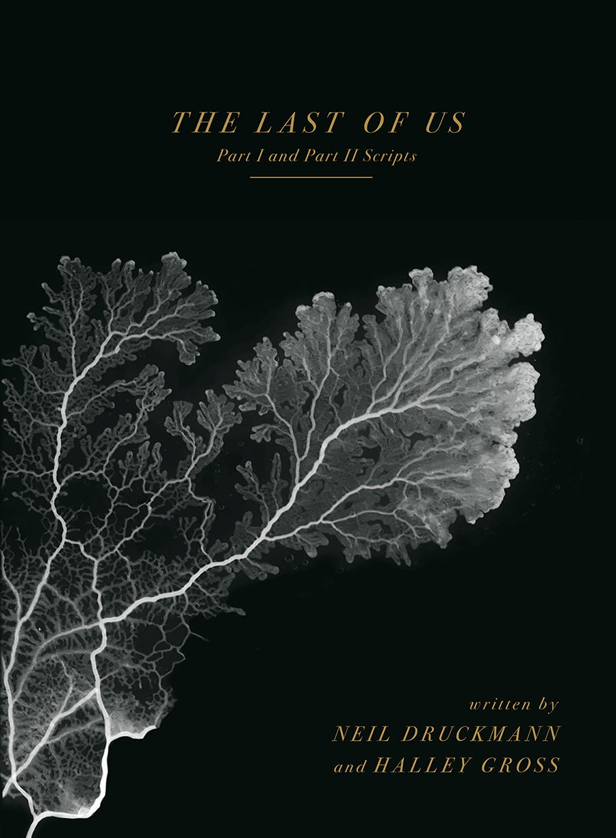 Last Of Us Part I And Part II Scripts HC