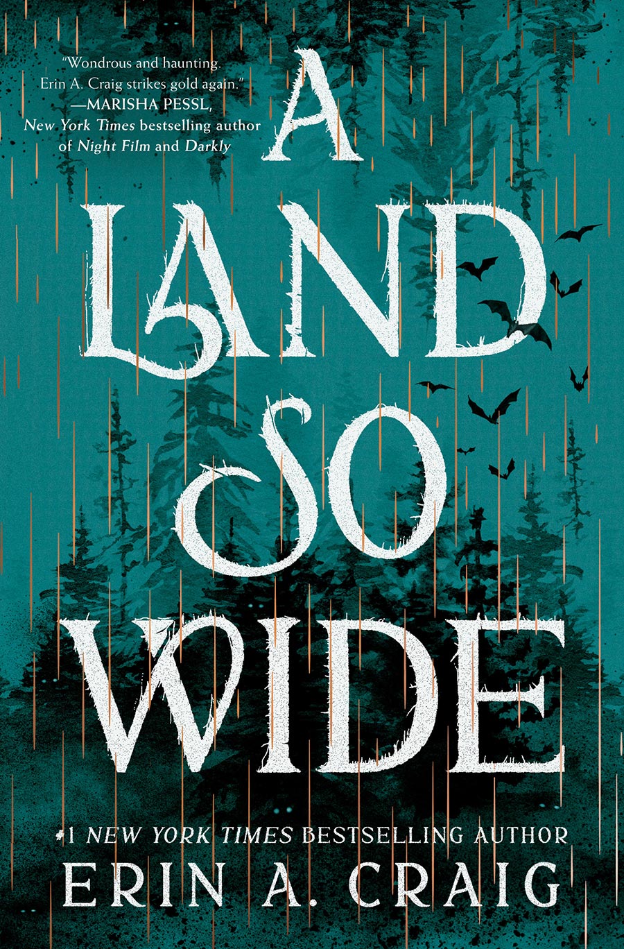 A Land So Wide A Novel HC