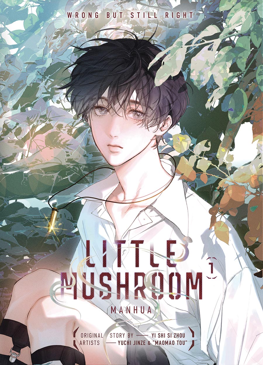 Little Mushroom Manhua Vol 1 HC