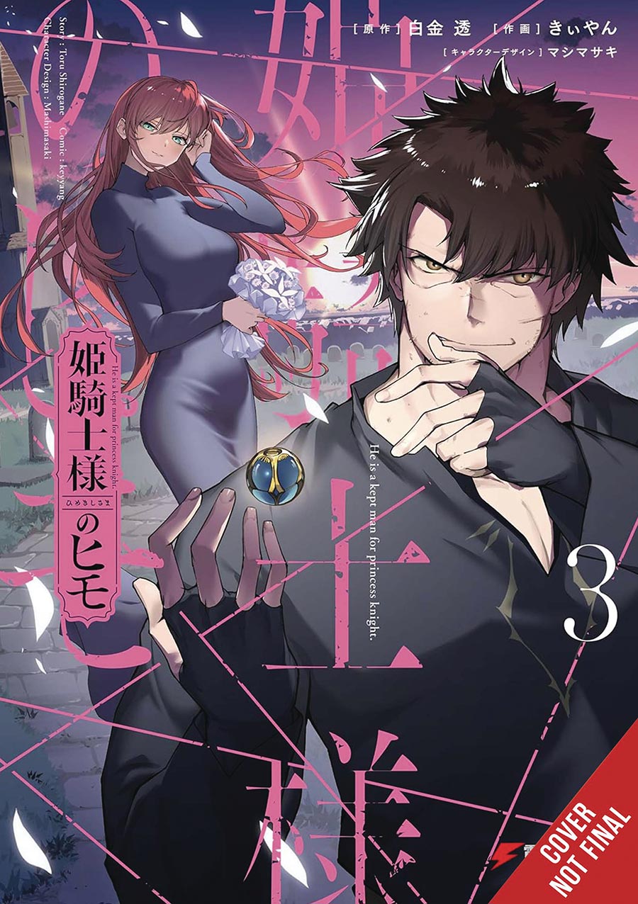 Kept Man Of The Princess Knight Vol 3 GN
