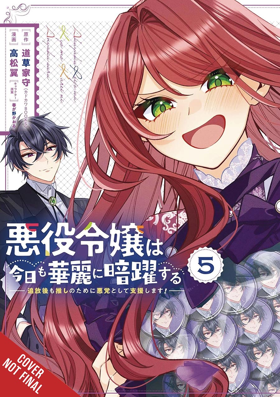 Villainess Stans The Heroes Playing The Antagonist To Support Her Faves Vol 5 GN