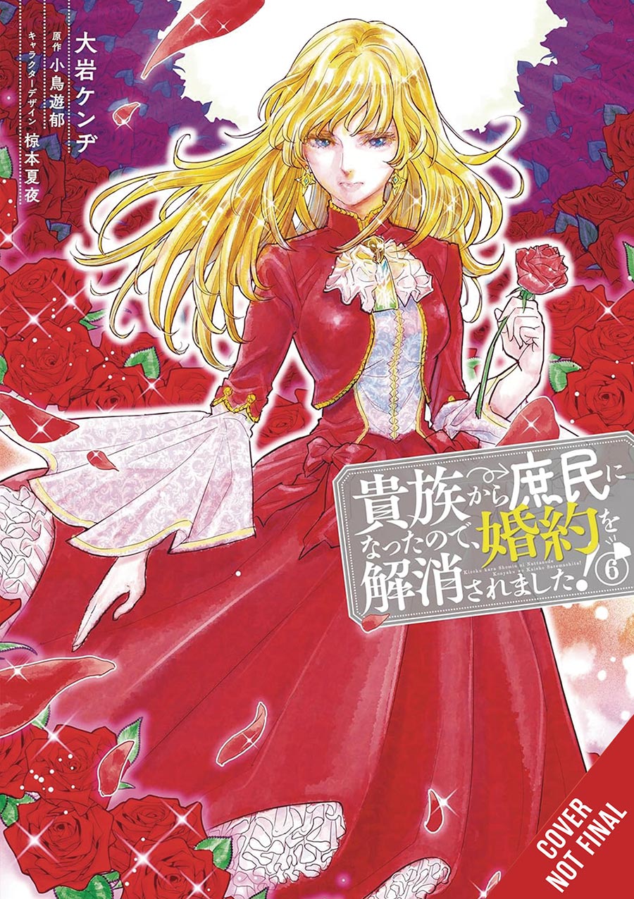 When I Became A Commoner They Broke Off Our Engagement Vol 6 GN