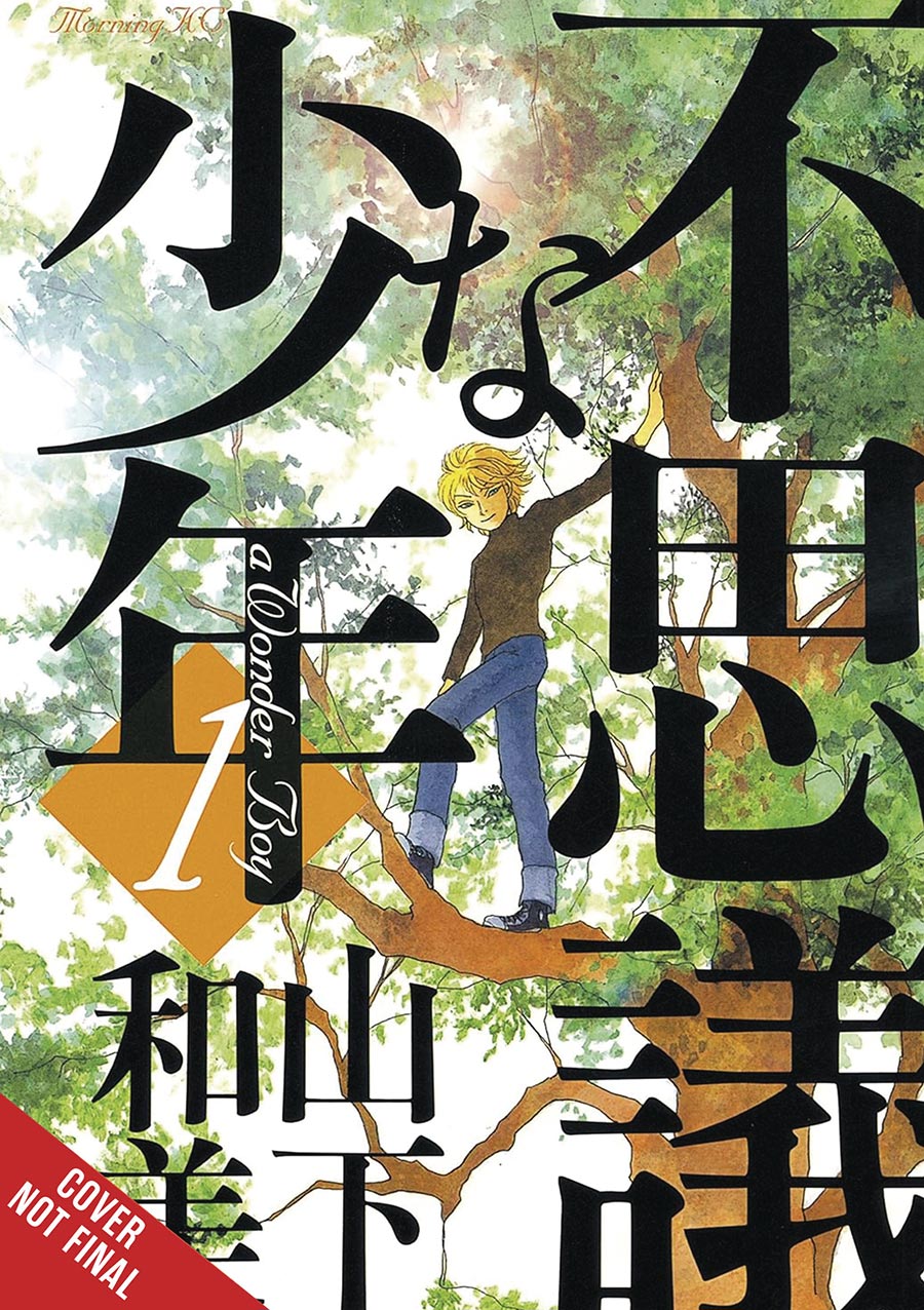 Wonder Boy Vol 1 HC