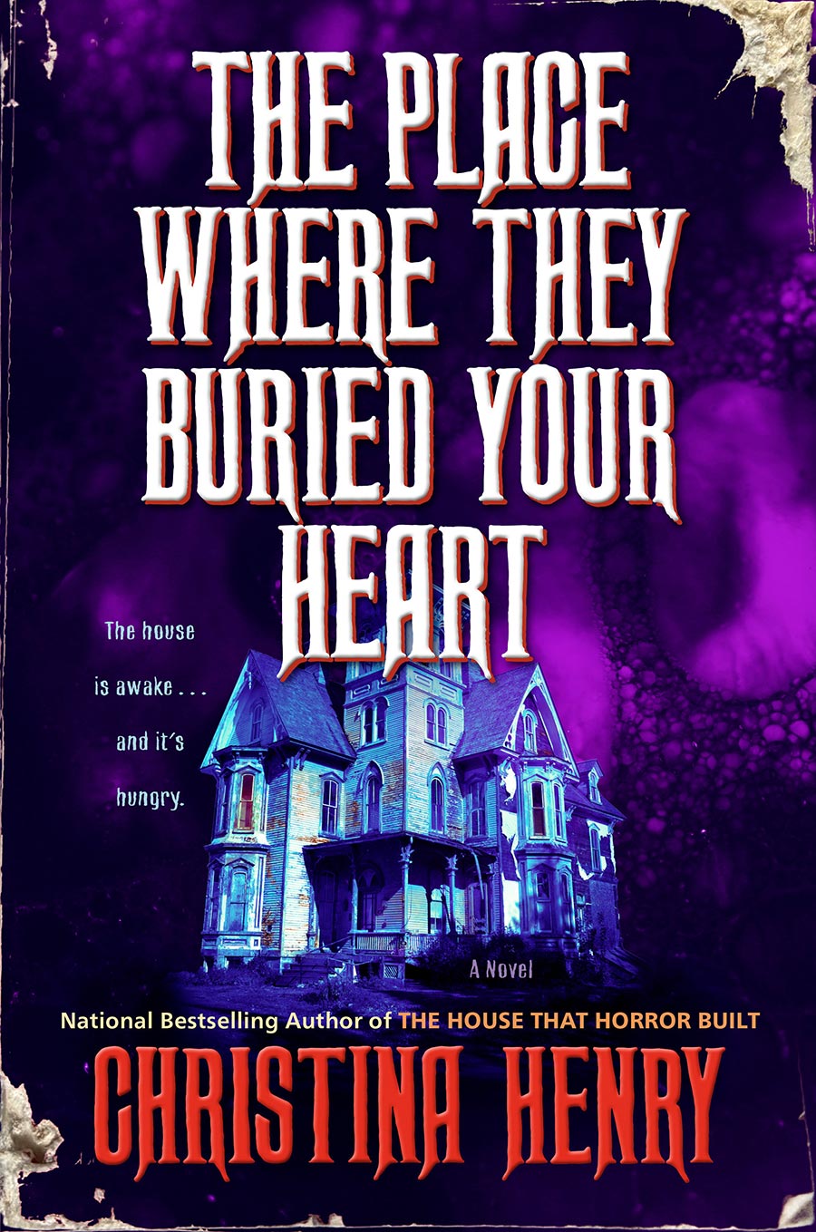 Place Where They Buried Your Heart Novel HC