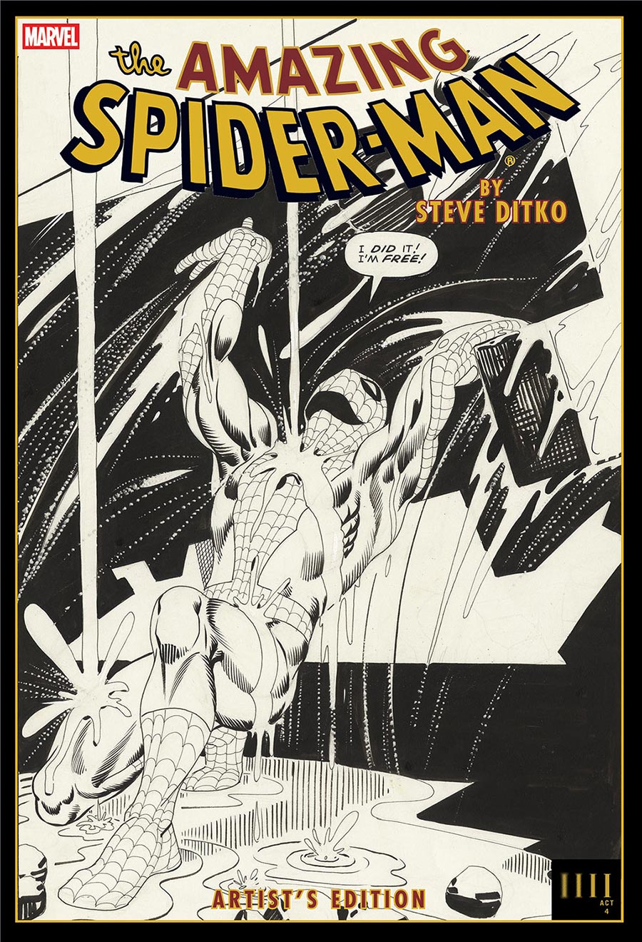 Amazing Spider Man By Steve Ditko Artists Edition HC Book Market Rain Cover