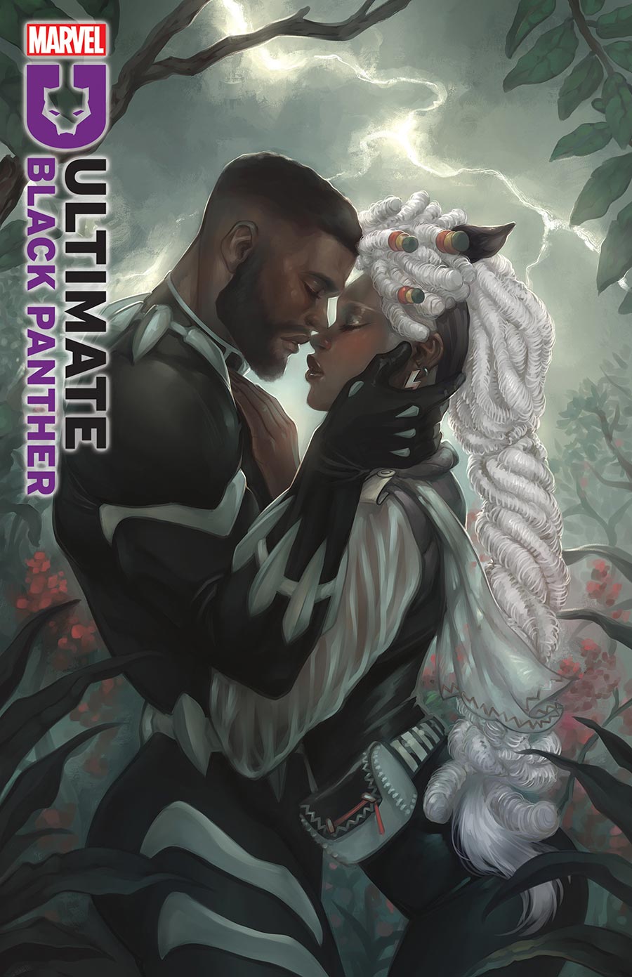Ultimate Black Panther #23 Cover C Incentive Meghan Hetrick Variant Cover