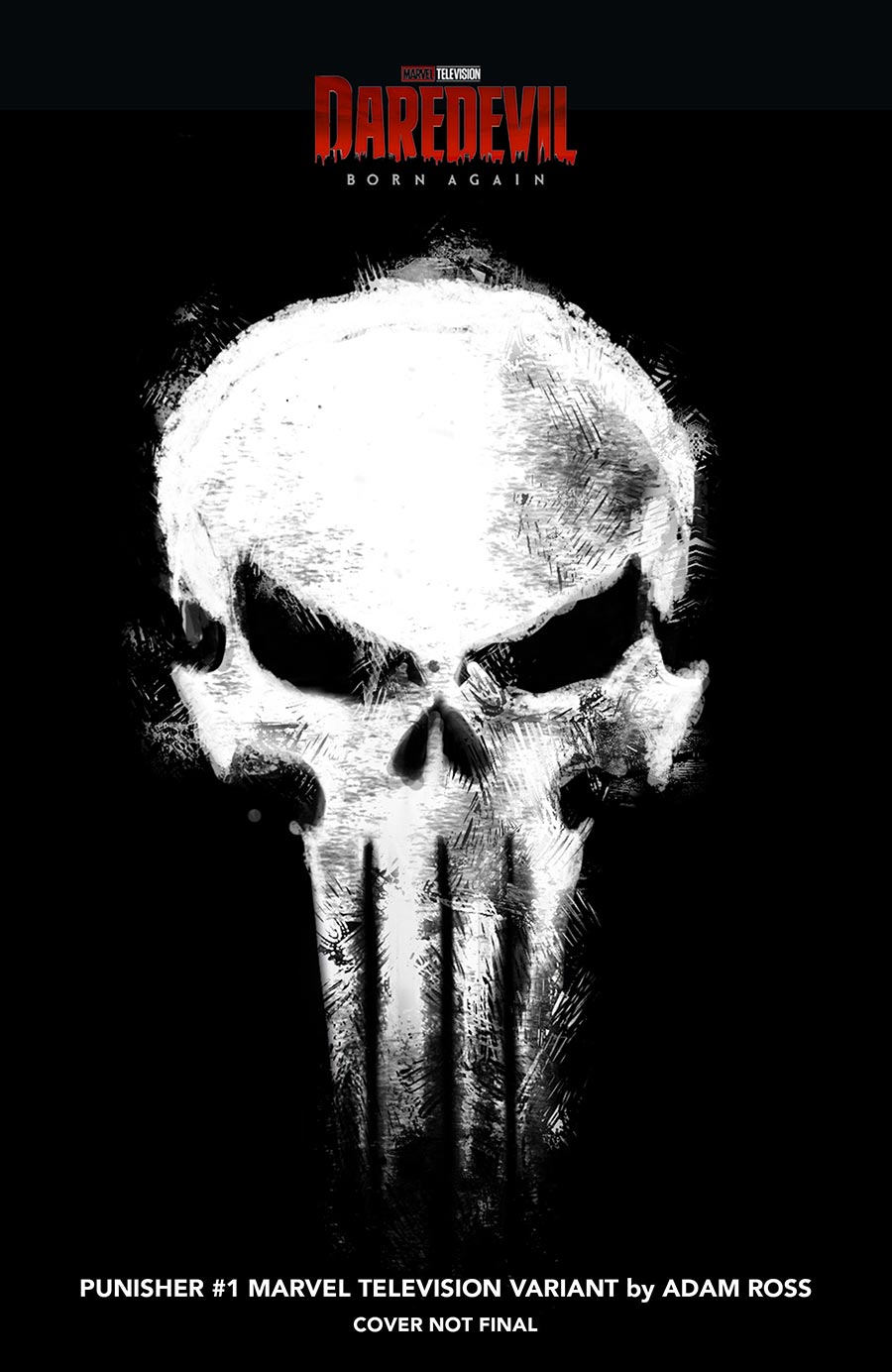 Punisher Vol 14 #1 Cover D Variant Adam Ross Marvel Television Logo Cover