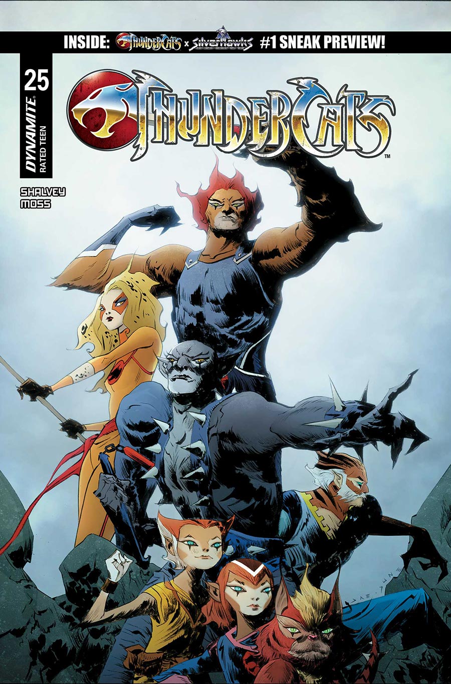 Thundercats Vol 3 #25 Cover C Variant Jae Lee & June Chung Cover