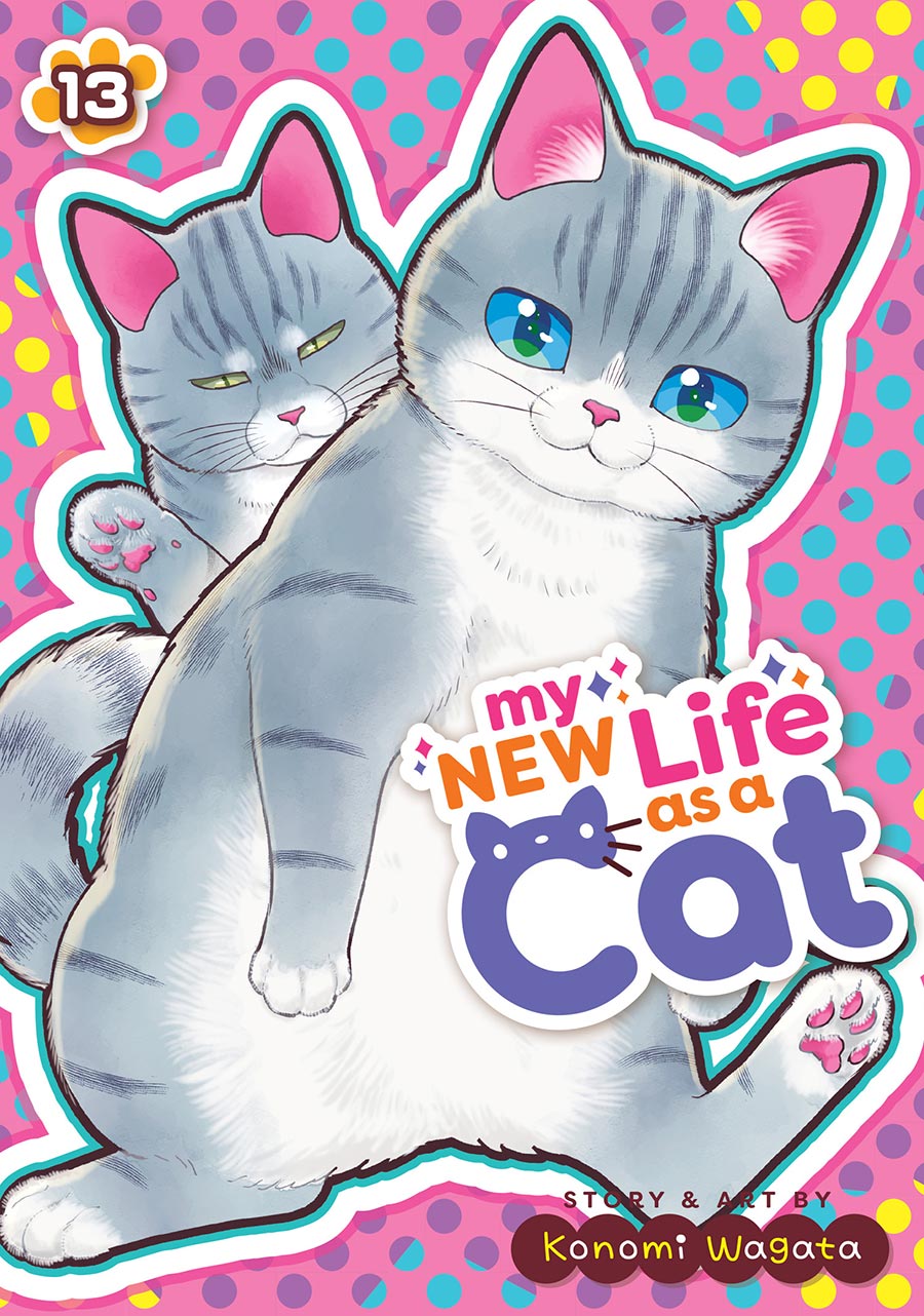 My New Life As A Cat Vol 13 GN