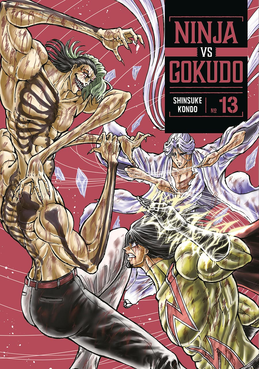 Ninja vs Gokudo Vol 13 GN