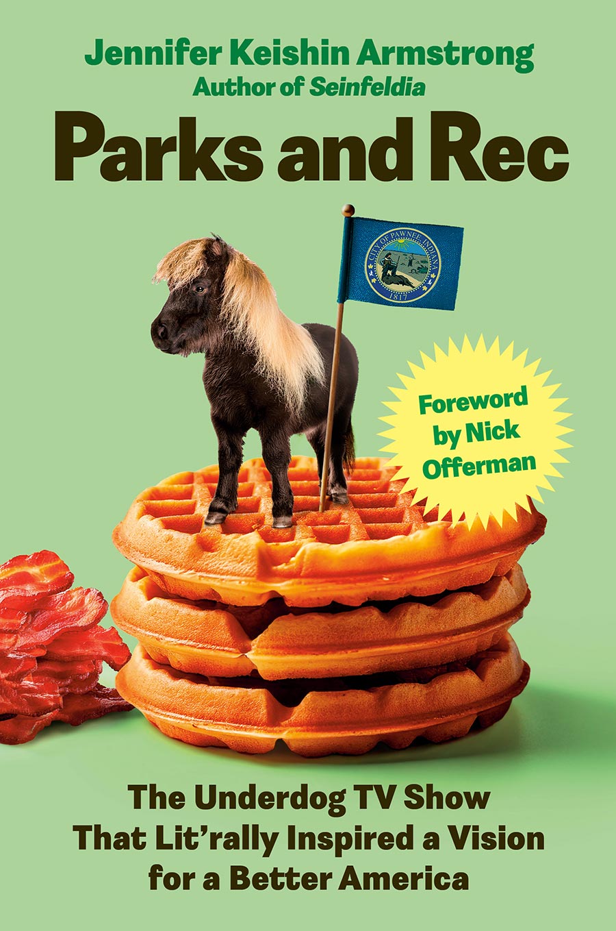 Parks And Rec The Underdog TV Show That Litrally Inspired A Vision For A Better America HC