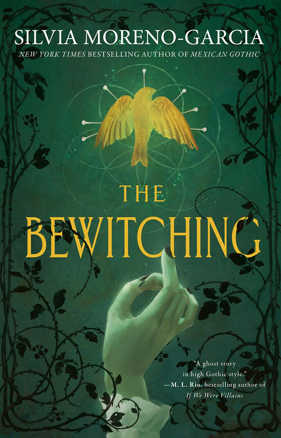 The Bewitching Novel TP