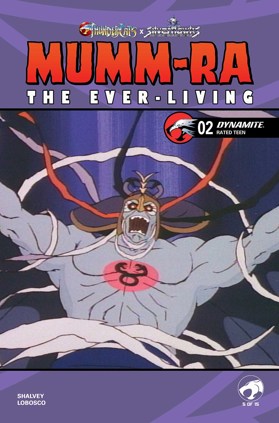 ThunderCats X SilverHawks Mumm-Ra The Ever-Living #2 Cover E Variant Animation Art Cover (ThunderCats X SilverHawks Part 5)