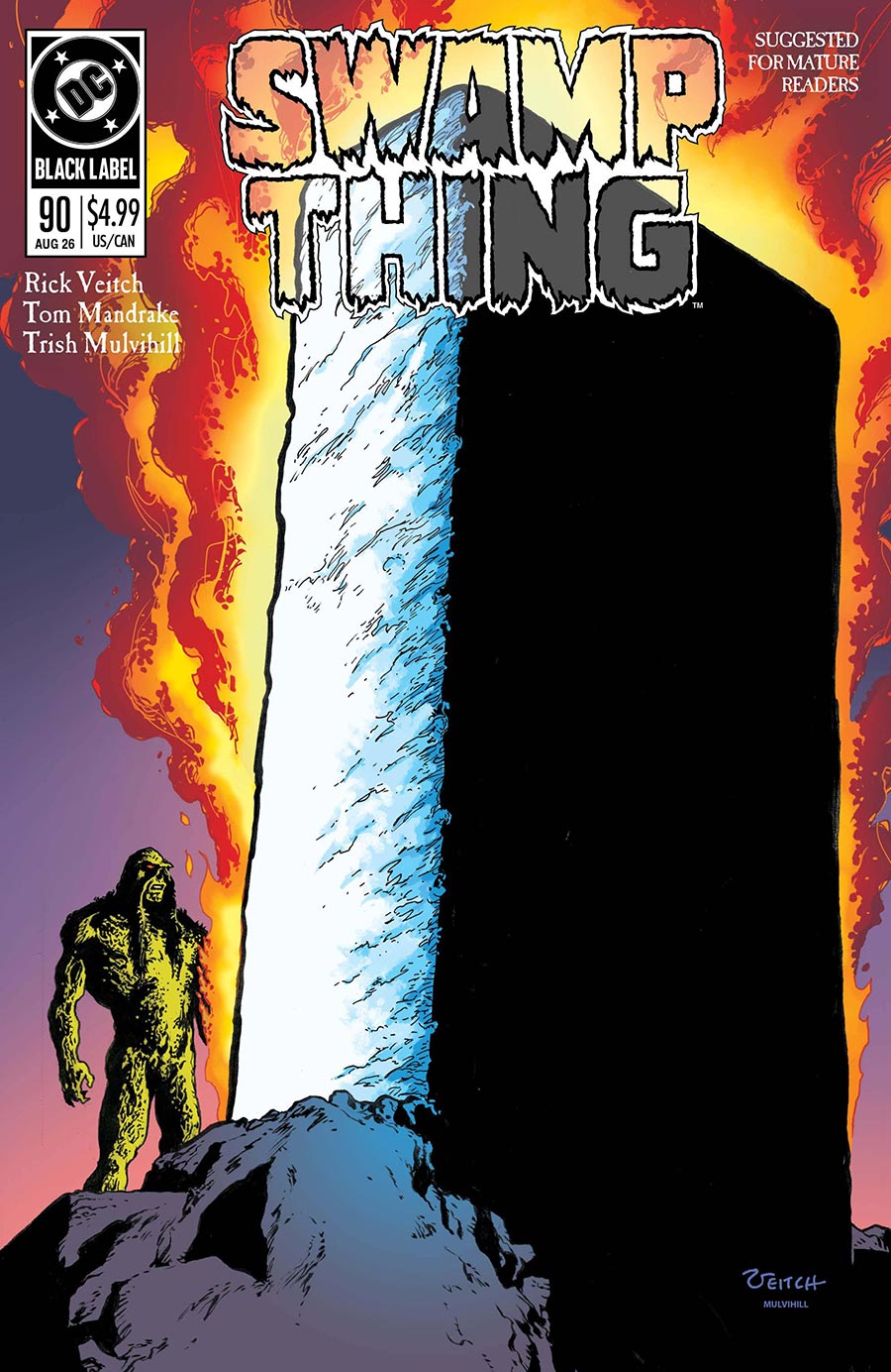 Swamp Thing 1989 #3 Cover A Regular Rick Veitch Cover