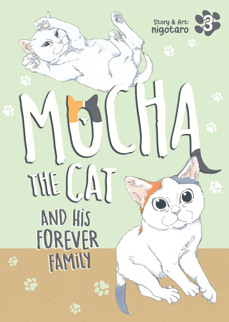 Mocha The Cat And His Forever Family Vol 3 GN