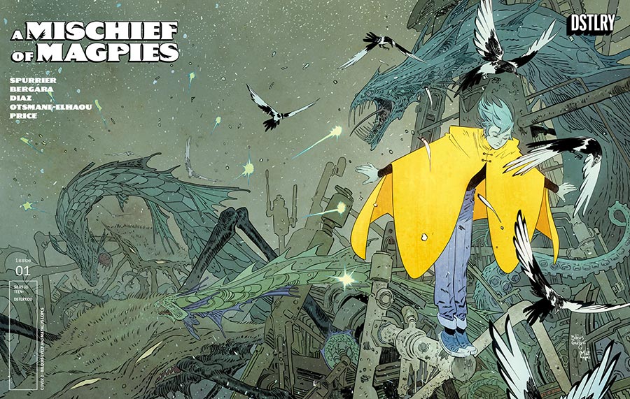 A Mischief Of Magpies #1 Cover D Incentive Bilquis Evely Wraparound Variant Cover