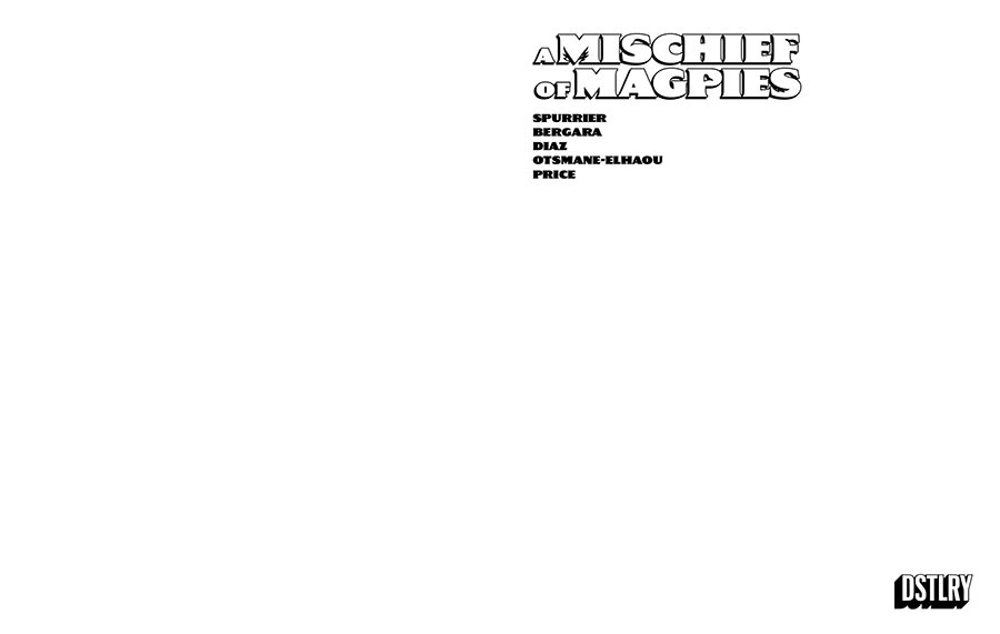 A Mischief Of Magpies #1 Cover F Variant Blank Wraparound Cover
