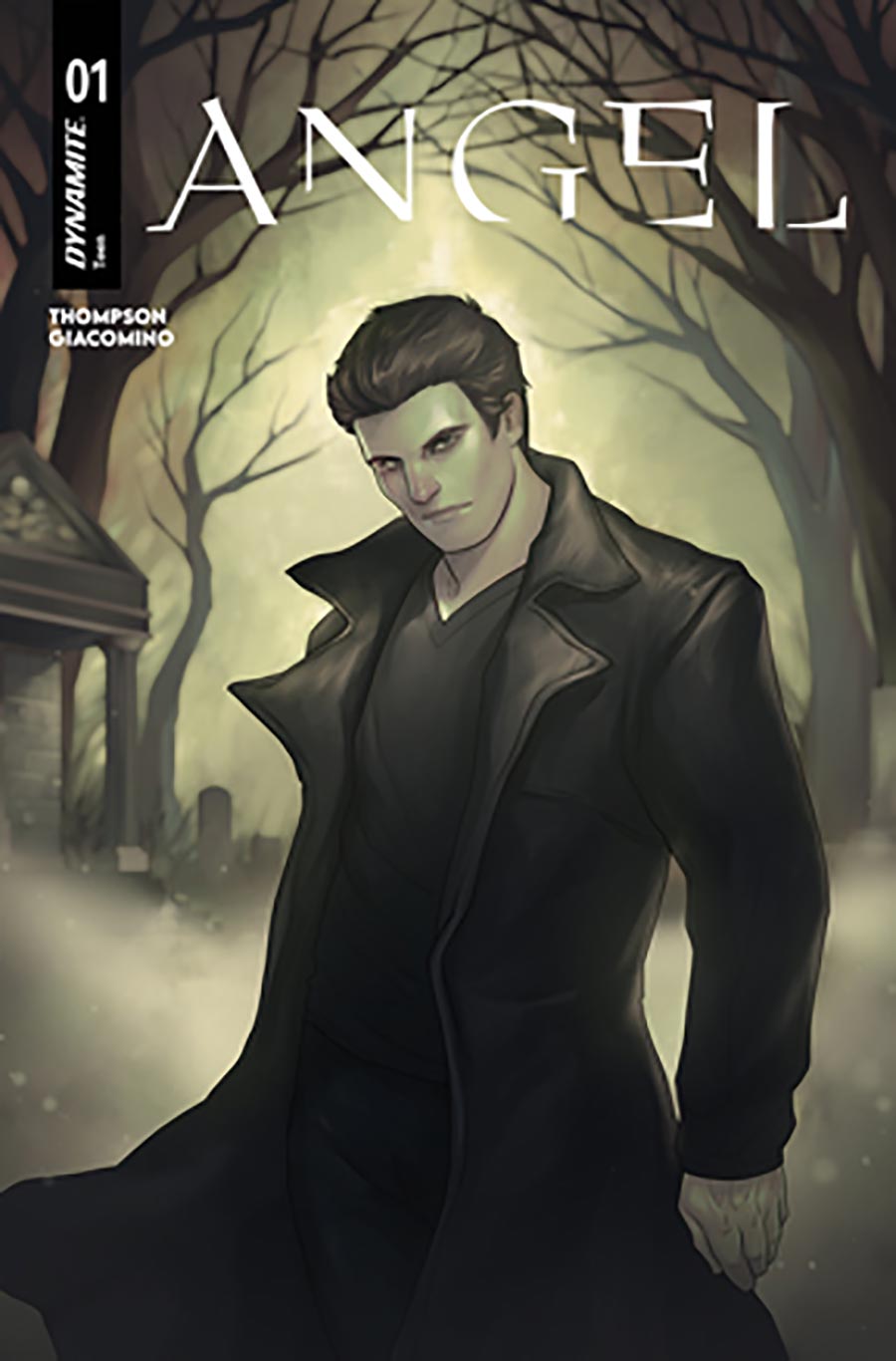 Angel Vol 6 #1 Cover D Variant Meghan Hetrick Cover