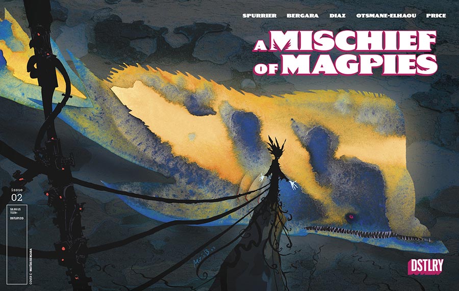 A Mischief Of Magpies #2 Cover C Incentive Matias Bergara Wraparound Variant Cover