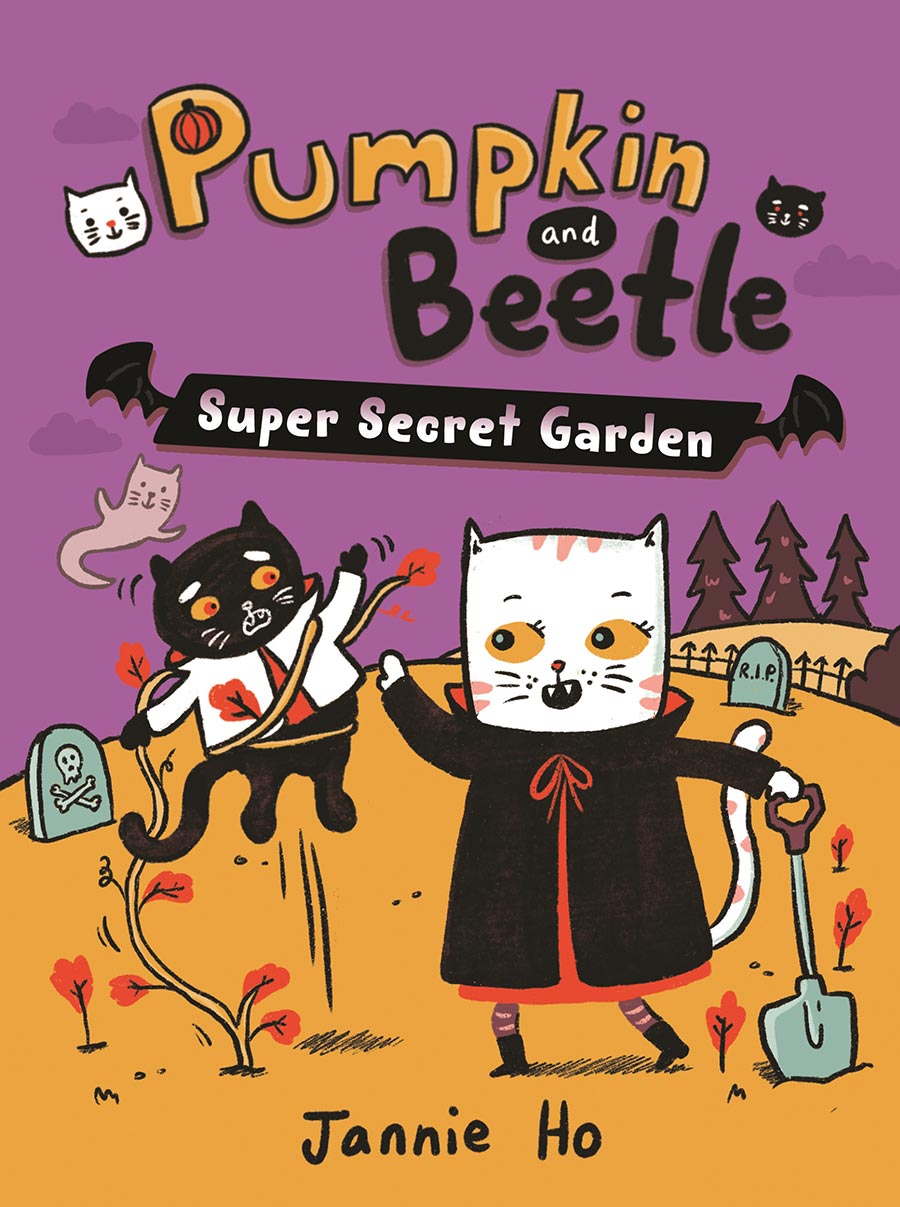 Pumpkin And Beetle Super Secret Garden HC