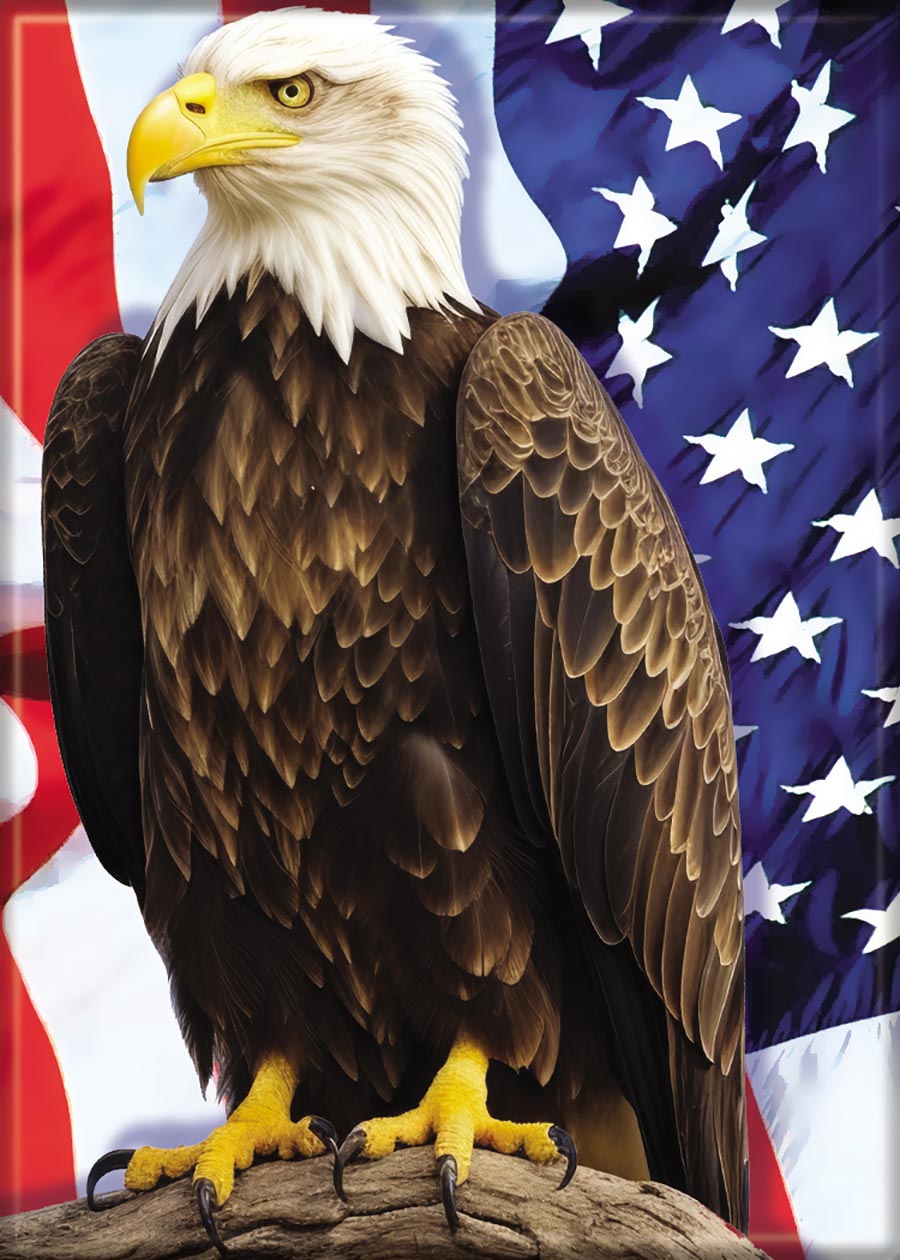 United States Flag Bald Eagle Magnet
