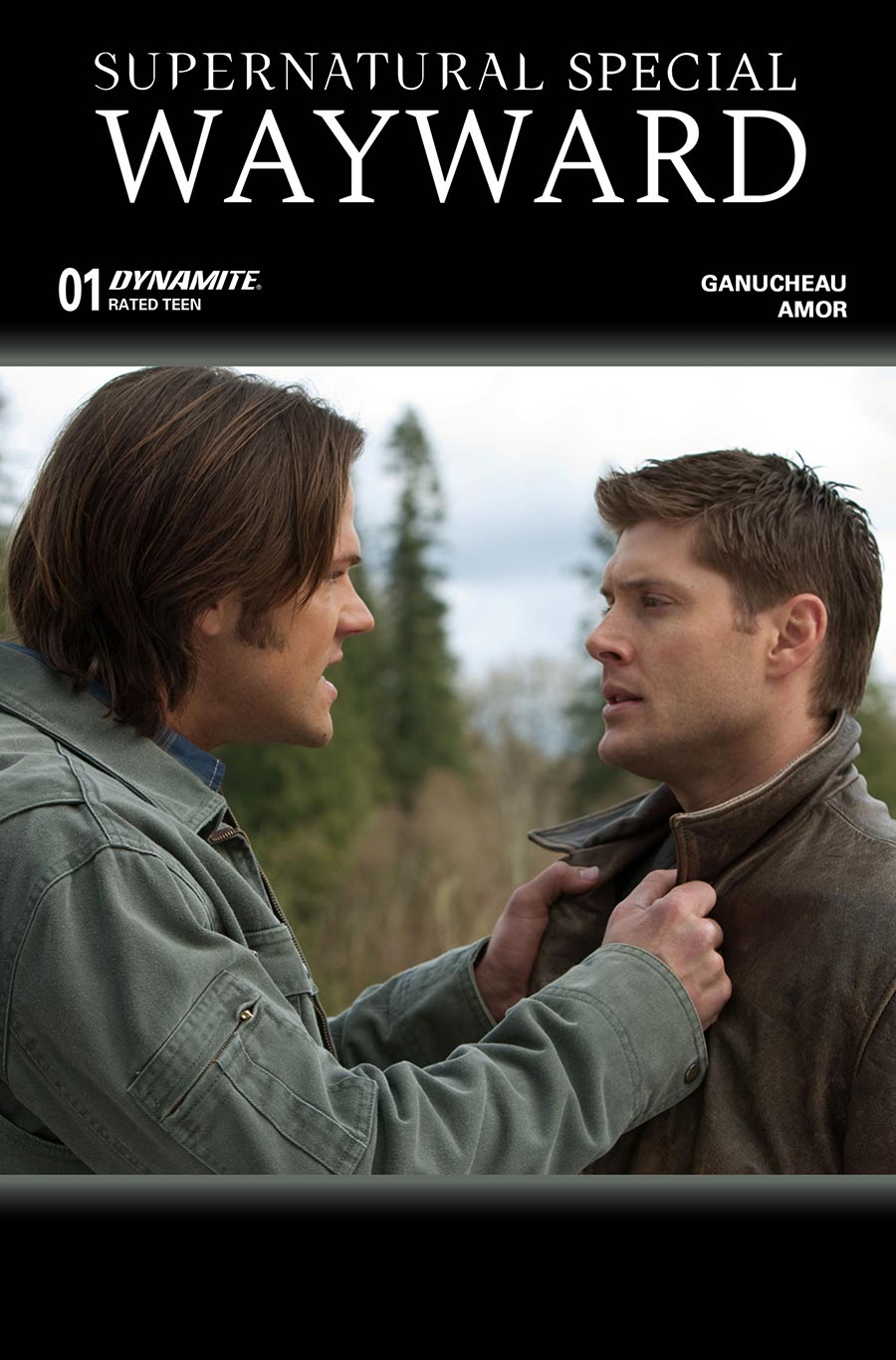 Supernatural Wayward Special #1 (One Shot) Cover C Variant Photo 2 Cover