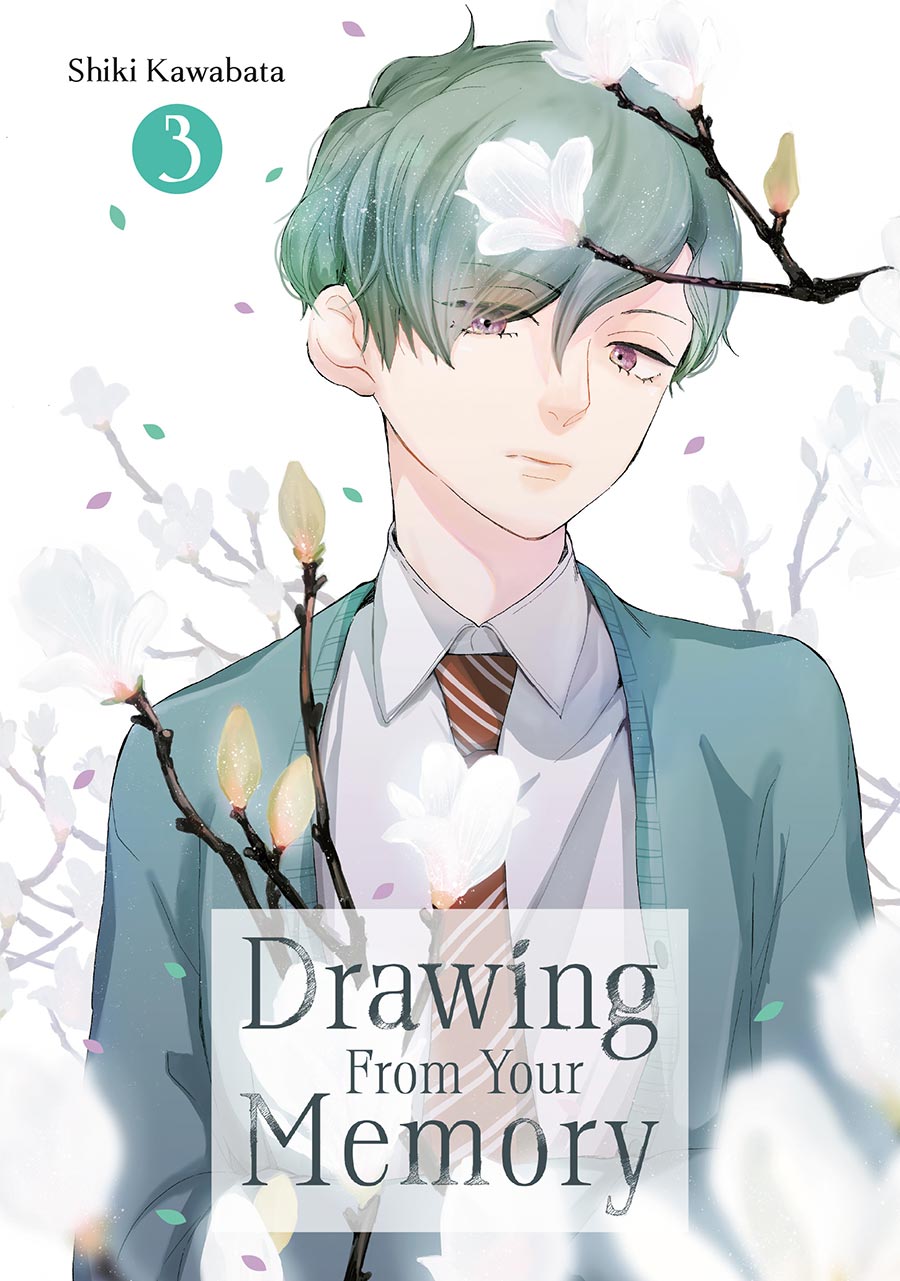 Drawing From Your Memory Vol 3 GN