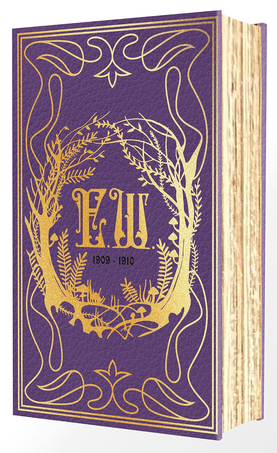 Emily Wildes Encyclopaedia Of Faeries Deluxe Edition HC
