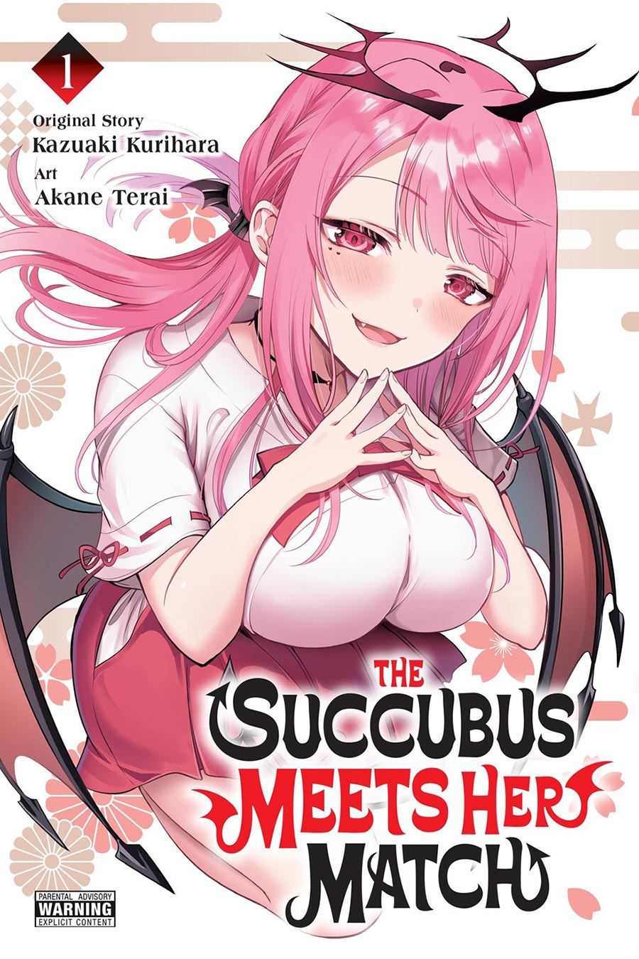 Succubus Meets Her Match Vol 1 GN
